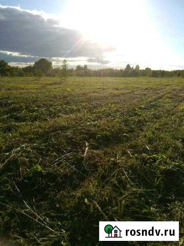 Участок СНТ, ДНП 330 сот. на продажу в Ермолино Ермолино - изображение 1