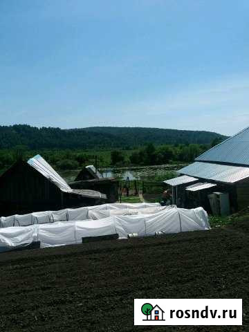 Дом 45 м² на участке 25 сот. на продажу в Кузедеево Кузедеево - изображение 1