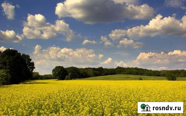 Участок СНТ, ДНП 334 сот. на продажу в Армавире Армавир - изображение 1