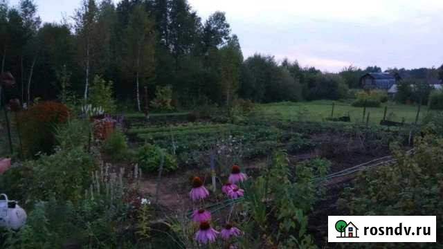 Участок СНТ, ДНП 3 сот. на продажу в Якшур-Бодье Якшур-Бодья - изображение 1