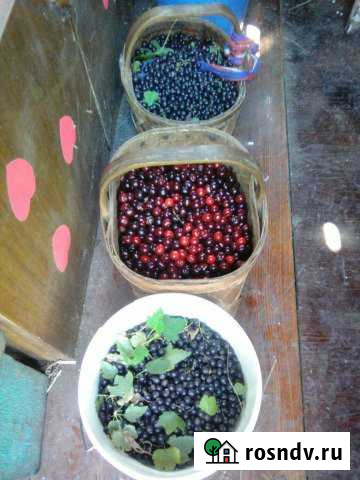 Участок СНТ, ДНП 15 сот. на продажу в Дубовом Умете Дубовый Умет - изображение 1