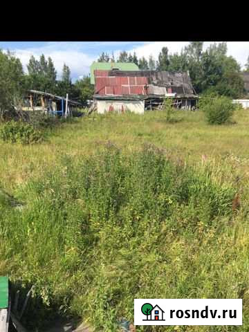 Дача 64 м² на участке 15 сот. на продажу в Санкт-Петербурге Санкт-Петербург - изображение 1