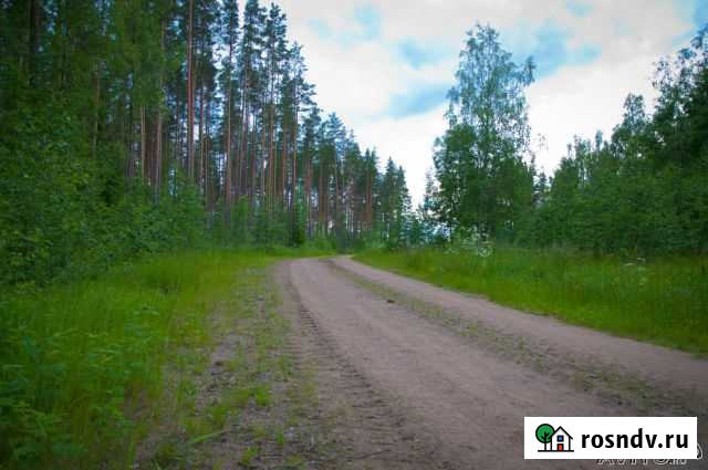 Участок СНТ, ДНП 8 сот. на продажу в Саперном Саперное - изображение 1