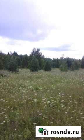 Участок ИЖС 20 сот. на продажу в Стрижах Стрижи - изображение 1