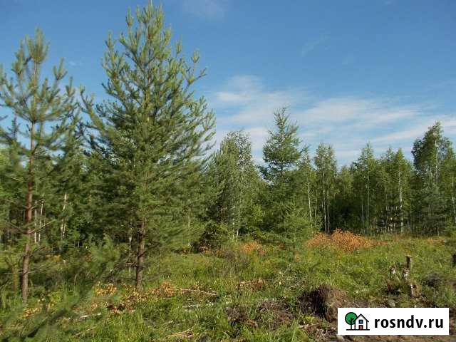 Участок СНТ, ДНП 20 сот. на продажу в Верху-Нейвинском Верх-Нейвинский - изображение 1