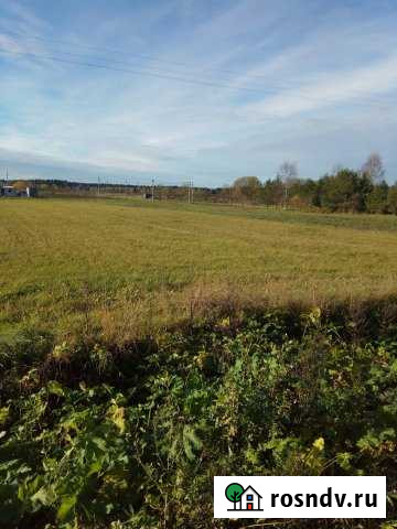 Участок ИЖС 25 сот. на продажу в Волосово Волосово - изображение 1