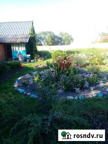 Участок ИЖС 15 сот. на продажу в Новосиньково Новосиньково - изображение 1