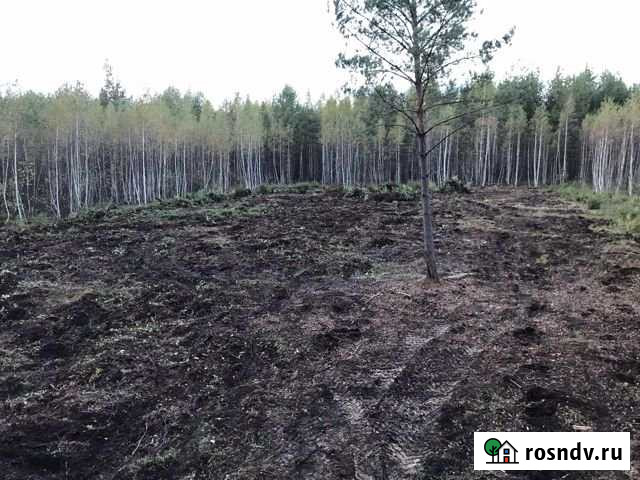 Участок СНТ, ДНП 15 сот. на продажу в Туношне Туношна - изображение 1