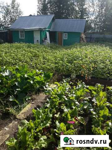 Дача 42 м² на участке 8 сот. на продажу в Ухте Ухта - изображение 1