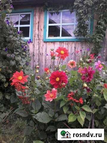 Дом 80 м² на участке 15 сот. на продажу в Целинном Алтайского края Целинное - изображение 1