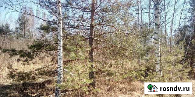 Участок СНТ, ДНП 6 сот. на продажу в Хорлово Хорлово - изображение 1