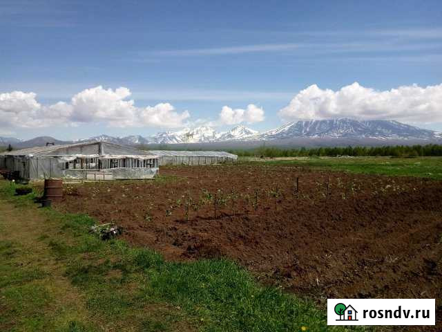 Участок СНТ, ДНП 500 сот. на продажу в Елизово Елизово - изображение 1