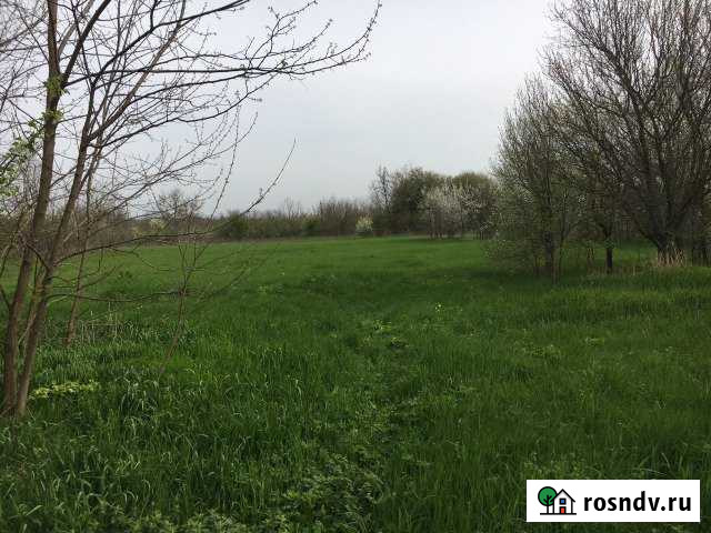 Участок СНТ, ДНП 45 сот. в аренду в Дондуковской Дондуковская - изображение 1