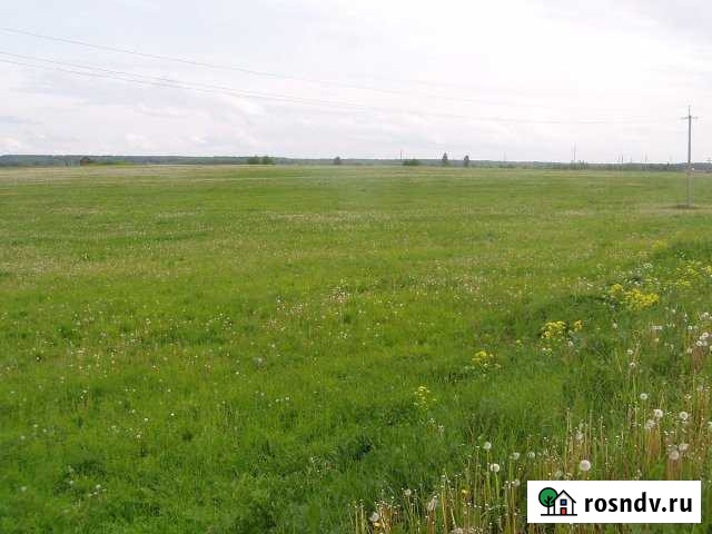 Участок СНТ, ДНП 208 сот. на продажу в Засосне Засосна - изображение 1