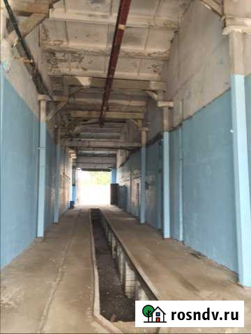 Сдаётся в аренду помещение с ямой Дзержинск - изображение 1