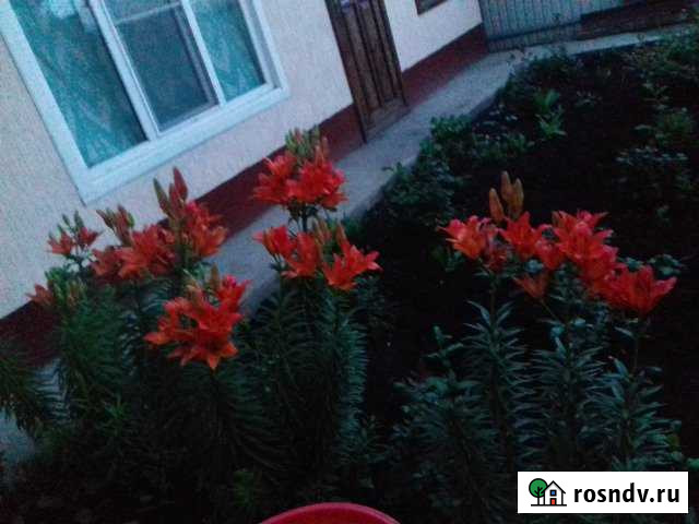 Коттедж 201 м² на участке 7 сот. на продажу в Топках Топки - изображение 1