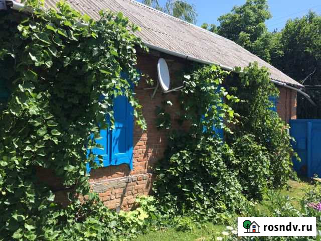 Дом 43.5 м² на участке 6 сот. на продажу в Марксе Маркс - изображение 1