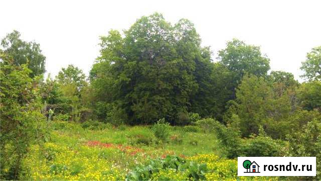 Участок СНТ, ДНП 11 сот. на продажу в Саратове Саратов - изображение 1