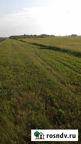 Участок СНТ, ДНП 187 сот. на продажу в Ярково Тюменской области Ярково - изображение 1