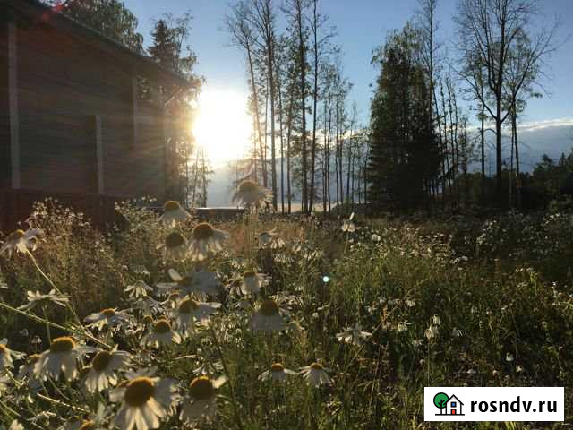 Участок СНТ, ДНП 17 сот. на продажу в Приозерске Приозерск - изображение 1