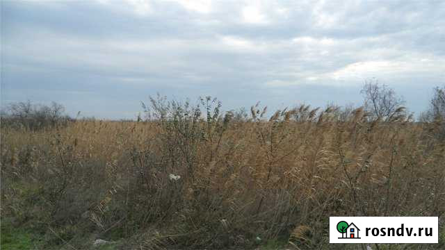 Участок СНТ, ДНП 79 сот. на продажу в Голубицкой Голубицкая - изображение 1