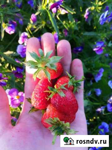 Дача 42 м² на участке 6 сот. на продажу в Сосновоборске Красноярского края Сосновоборск - изображение 1