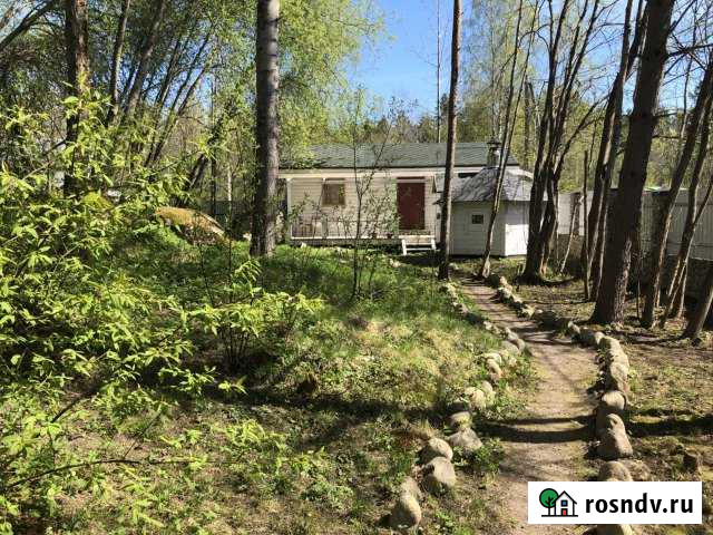 Дача 31 м² на участке 25 сот. в аренду на длительный срок в Санкт-Петербурге Санкт-Петербург - изображение 1