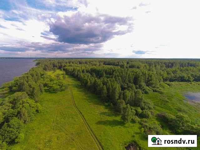 Участок СНТ, ДНП 101823 сот. на продажу в Конаково Конаково - изображение 1