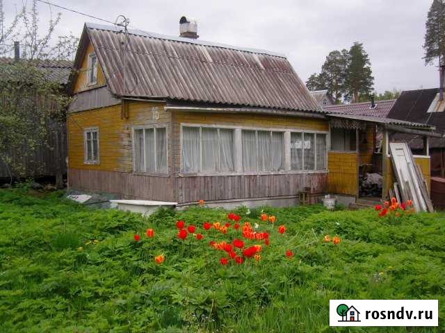 Участок СНТ, ДНП 7 сот. на продажу в Петрозаводске Петрозаводск - изображение 1