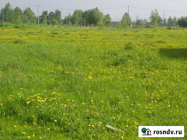 Участок ИЖС 20 сот. на продажу в Рузе Руза - изображение 1