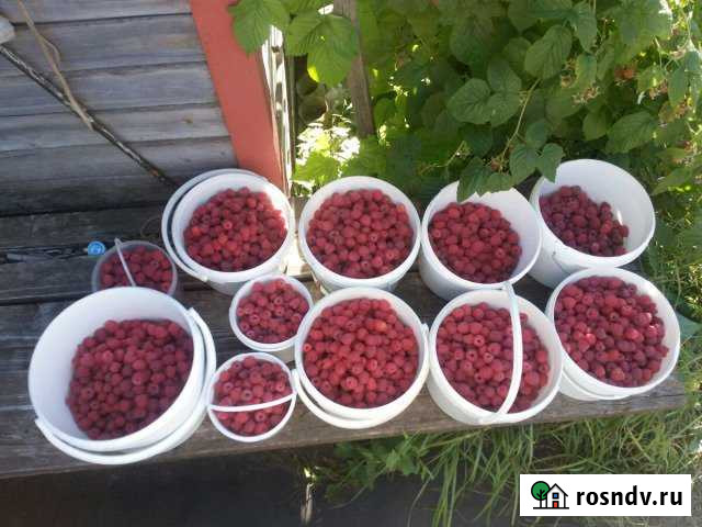 Дача 20 м² на участке 10 сот. на продажу в Жигулевске Жигулевск - изображение 1