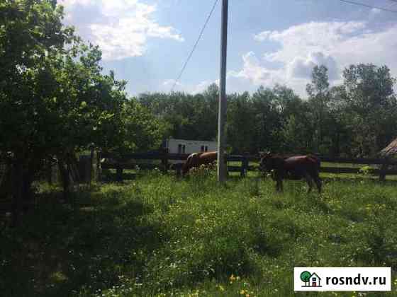 Участок ИЖС 25 сот. на продажу в Апшеронске Апшеронск