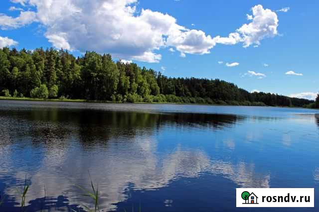 Участок СНТ, ДНП 141 сот. на продажу в Лахденпохье Лахденпохья - изображение 1