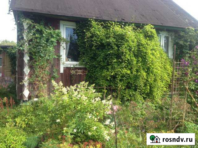 Дача 30 м² на участке 6 сот. на продажу в Санкт-Петербурге Санкт-Петербург - изображение 1