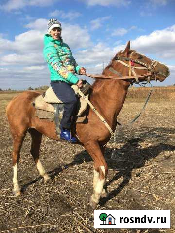 Дом 30 м² на участке 100 сот. в аренду посуточно в Ахтубинске Ахтубинск - изображение 1