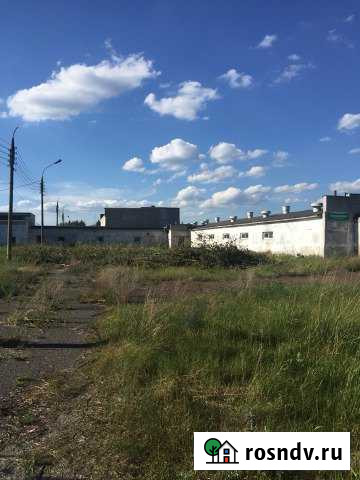 Продам свинокомплекс на 6000 голов Дзержинск - изображение 1