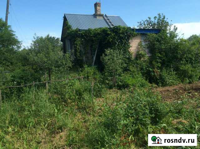 Дача 40 м² на участке 7 сот. на продажу в Буревестнике Буревестник - изображение 1