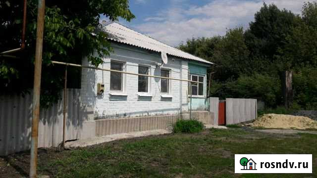 Дом 38 м² на участке 54 сот. на продажу в Скородном Скородное - изображение 1