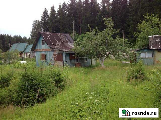 Дача 50 м² на участке 7 сот. на продажу в Санкт-Петербурге Санкт-Петербург - изображение 1