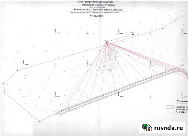 Участок СНТ, ДНП 1000 сот. на продажу в Тобольске Тобольск - изображение 1