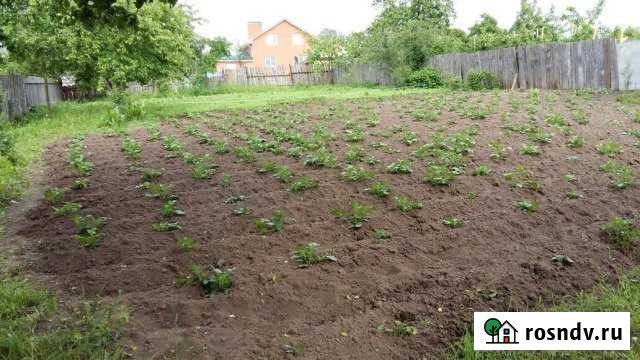 Дом 40 м² на участке 12 сот. на продажу в Сосновском Сосновское - изображение 1