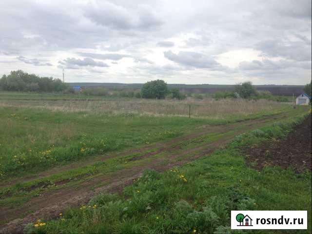 Дом 50 м² на участке 38 сот. на продажу в Данкове Данков - изображение 1