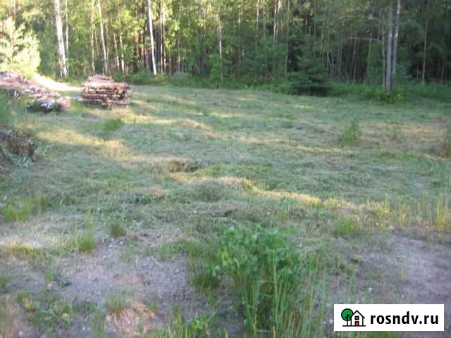 Участок СНТ, ДНП 10 сот. на продажу в Каменке Ленинградской области Каменка - изображение 1
