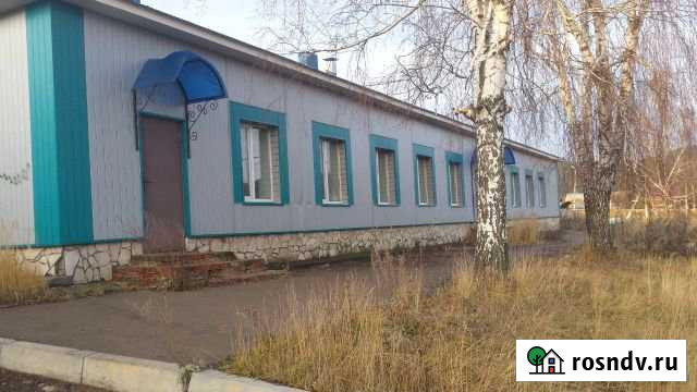 Площадь в аренду Камские Поляны - изображение 1