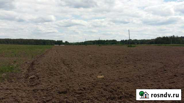 Участок СНТ, ДНП 1000 сот. на продажу в Подольске Подольск - изображение 1