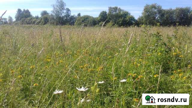 Участок СНТ, ДНП 220 сот. на продажу в Ярково Тюменской области Ярково - изображение 1