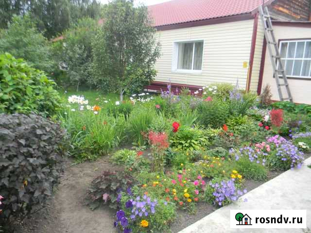 Дом 83 м² на участке 9.9 сот. на продажу в Зональном Зональное - изображение 1