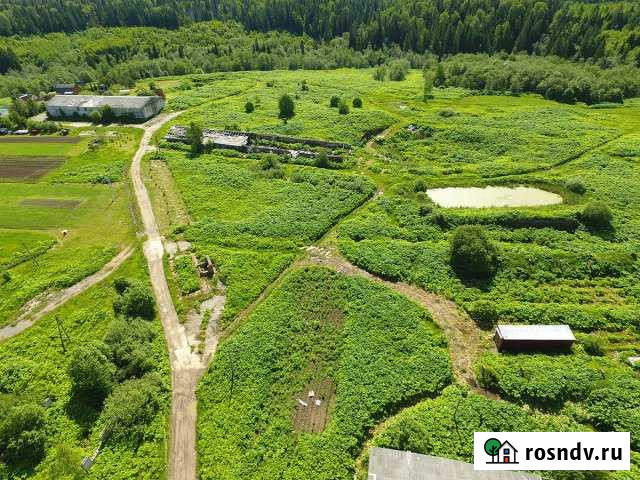 Участок СНТ, ДНП 500 сот. на продажу в Сычево Сычево - изображение 1