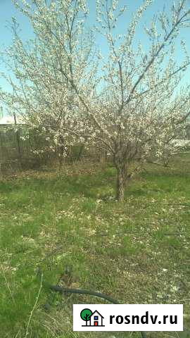 Дача 30 м² на участке 5 сот. на продажу в Оренбурге Оренбург - изображение 1