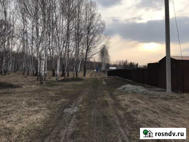 Участок СНТ, ДНП 6 сот. на продажу в Сокуре Сокур - изображение 1